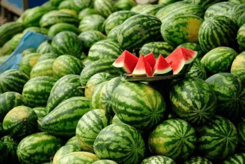 吃瓜的网红都有哪些人,揭秘网络红人的多彩人生