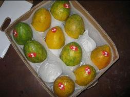 吃瓜台湾网红事件