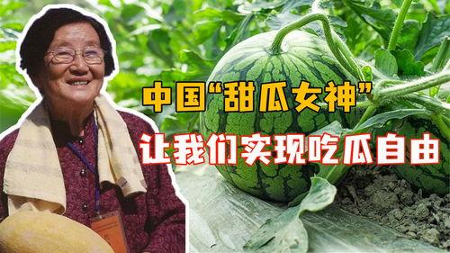 云南吃瓜事件网红叫什么,网红引发的网络狂欢