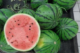 吃瓜网曝热门吃瓜网,揭秘娱乐圈最新热点事件