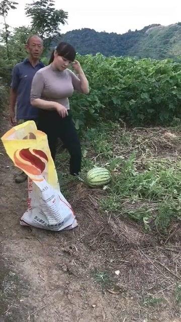 红领巾吃瓜网回家的路