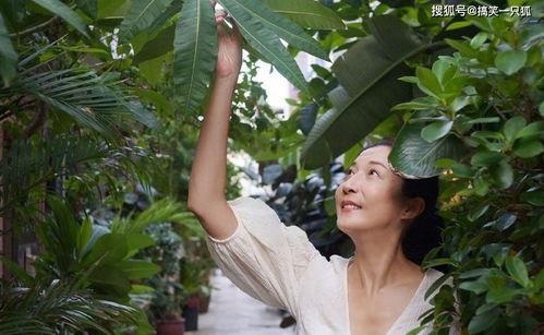 吃瓜事件网红楠楠