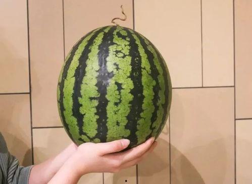 1吃瓜网,网络舆论风向标背后的故事