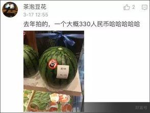 人民吃瓜网在线观看,在线观看，畅享欢乐时光