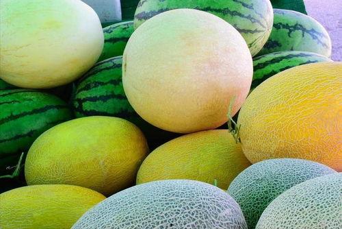 吃瓜网官网地址,探索官网背后的热门资讯与娱乐盛宴