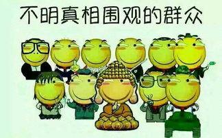 吃瓜群众呱呱网,揭秘网络热议背后的真相与趣味