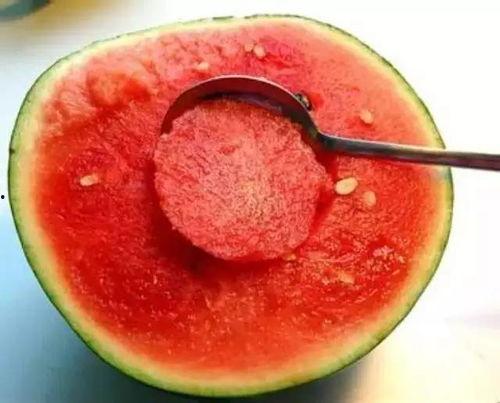 文安网红梅姐吃瓜事件,揭秘网络舆论背后的真相