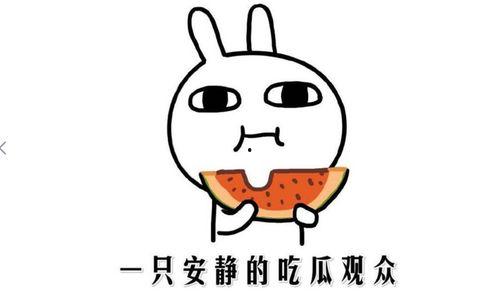 吃瓜官网是什么意思