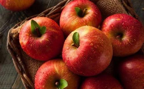 51吃瓜官网苹果