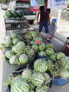 辉县网红吃瓜事件